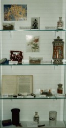 show case in the Epilepsy Museum